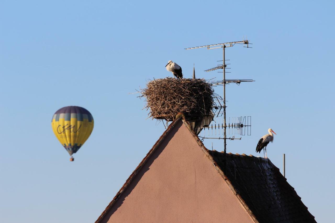 La Belle Alsacienne - Route Des Vins D'Alsace Hotel Hattstatt Cameră foto