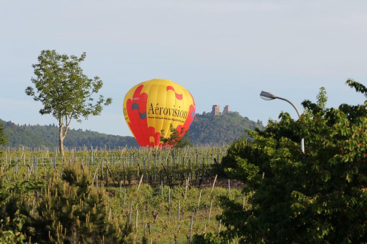 La Belle Alsacienne - Route Des Vins D'Alsace Hotel Hattstatt Cameră foto